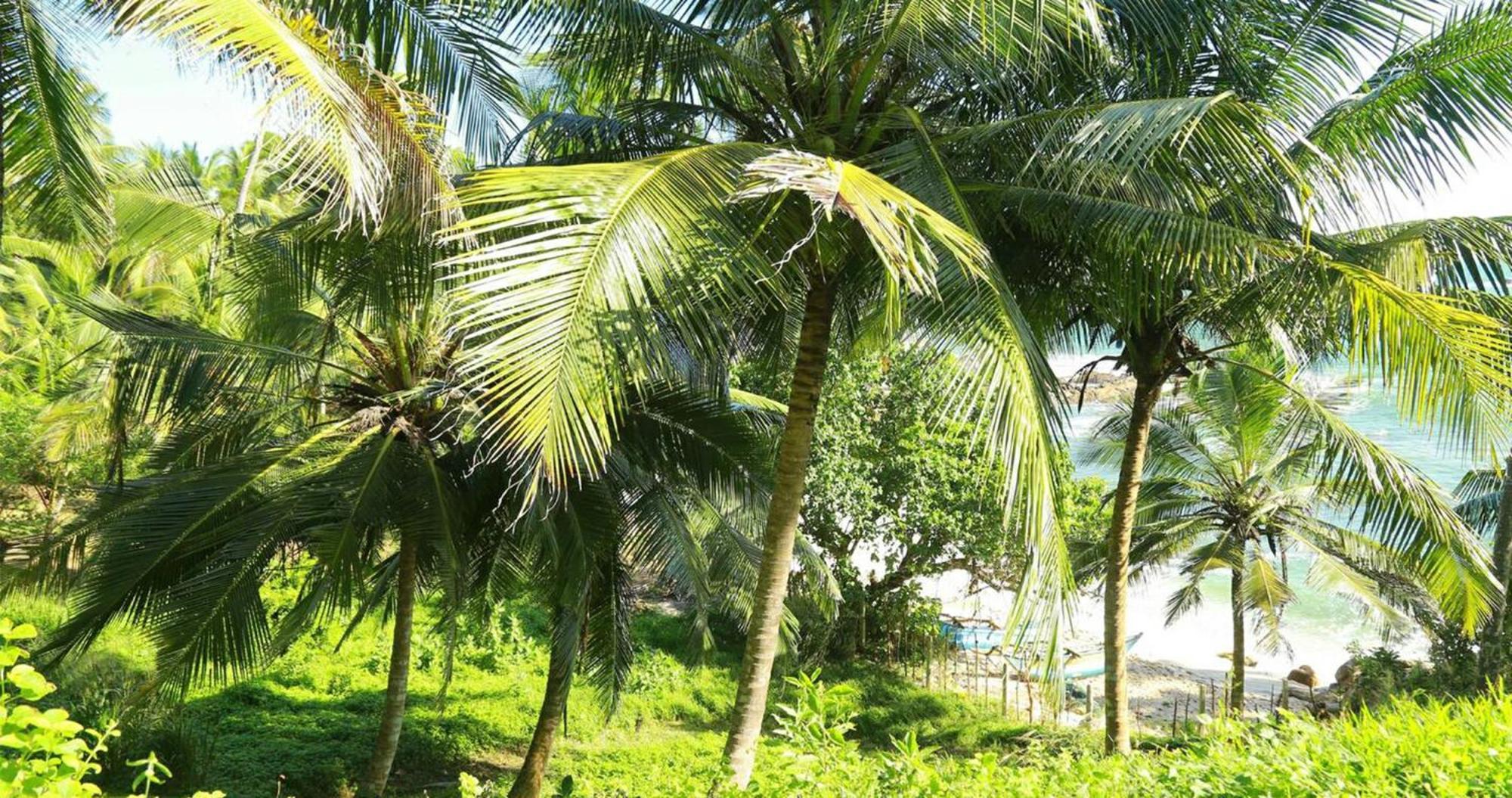 Bluewind Resort Tangalle Eksteriør bilde